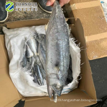 Frozen Spanish mackerel, king mackerel wr, 2016 japanese spanish mackerel China